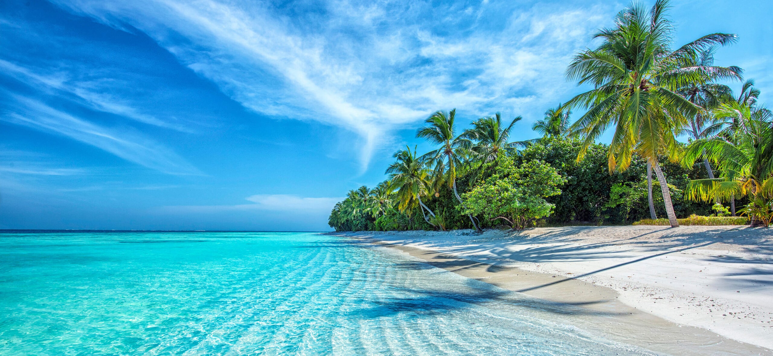 amenities-scaled-min